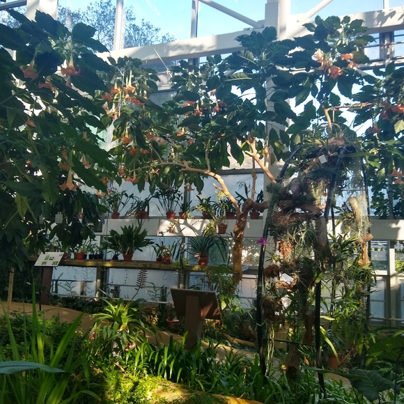 Meet your Posher - Picture 2 of 2